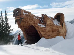 Bärenpiste
