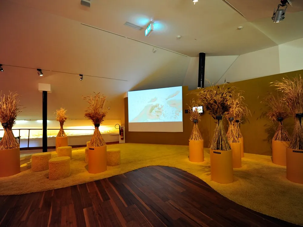 Ausstellungsraum: Moderner Raum mit gelbem Teppich, Holzboden, Strohskulpturen in orangefarbenen Vasen, Projektionsfläche mit Bild und Sitzgelegenheiten.