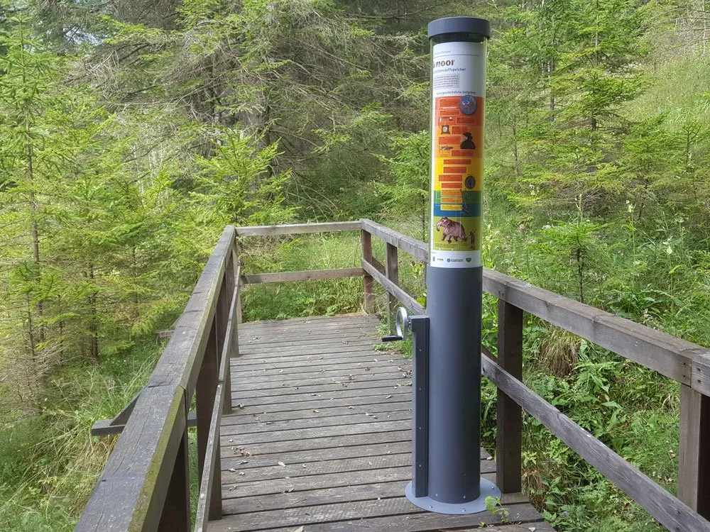 Zylindrisches Infoständer steht auf einem Holzsteg inmitten einer grünen, waldigen Umgebung