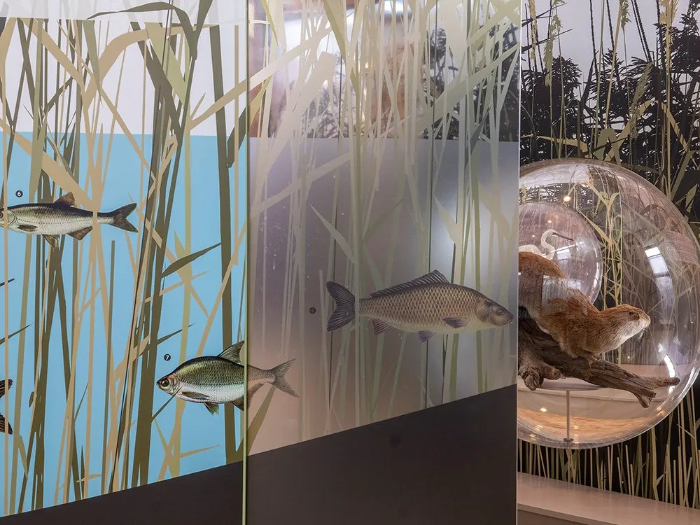 Detailansicht: Illustrationen von Fischen und Glasglocke mit einem ausgestopften Otter
