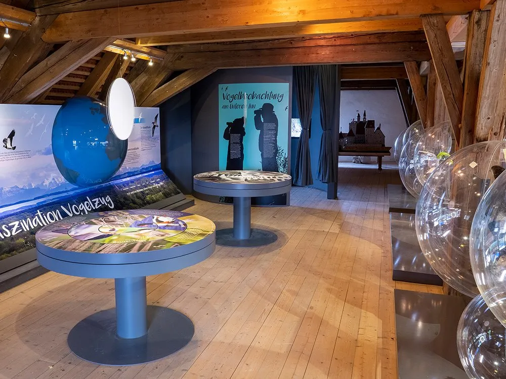 Großer Globus und interaktive Tische mit Vogelzug-Infos, im Hintergrund alpine Landschaften