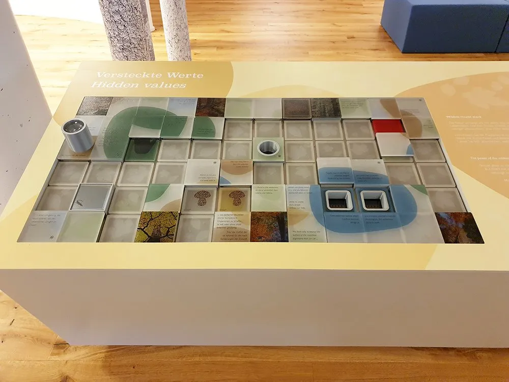 Ausstellungsraum: Interaktiver Tisch mit quadratischen Kacheln, Naturbilder und Texte