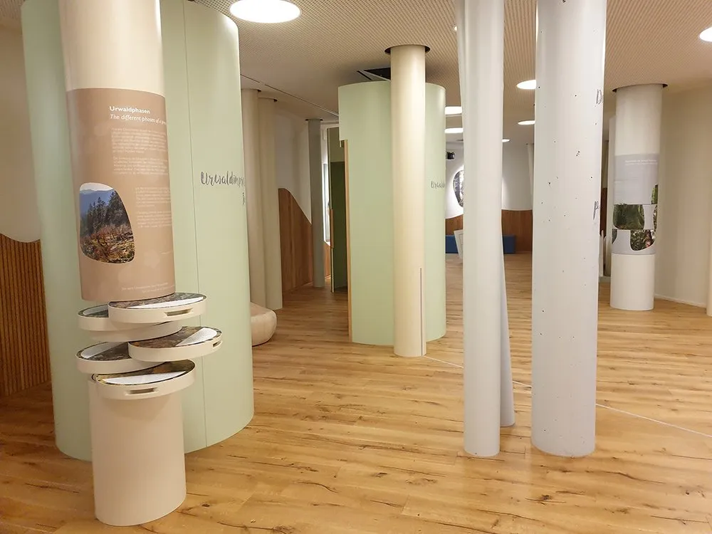 Ausstellungsraum: Moderner Raum mit Holzboden und weißen Säulen. Ein interaktiver Säulendisplay zeigt "Urwaldphasen" mit Naturbildern und Texten