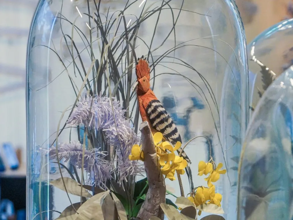 Glasglocke mit einer Pappmaché-Nachbildung eines bunten Vogels, umgeben von gelben und lila Blumen sowie trockenen Pflanzen, auf einem schwarzen Sockel.